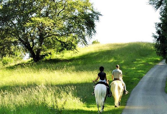 Вилла Villino Oasi Santa Barbara  Экстерьер фото